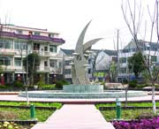 崇明城市风景