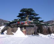 牡丹江城市风景