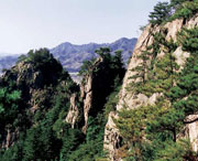 开原城市风景