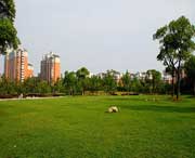 大宁城市风景