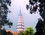 长清城市风景