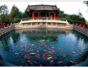 章丘城市风景