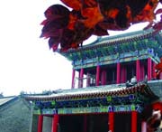 昌邑城市风景