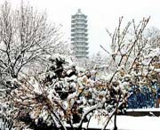 苍山城市风景