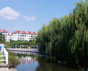 裕民城市风景