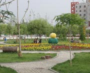 和田城市风景