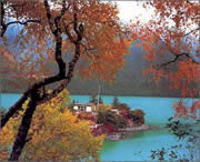 朗县城市风景