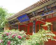 陇西城市风景