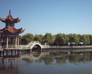 临洮城市风景