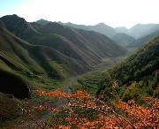 靖远城市风景