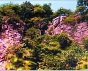 遂平城市风景