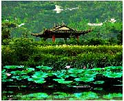 蔡甸城市风景