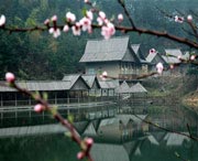 浠水城市风景