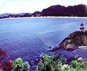 玉环城市风景
