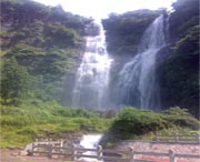 泰顺城市风景