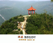 洞头城市风景