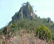 松阳城市风景