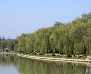 阜南城市风景