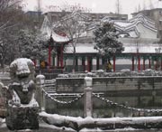 太和城市风景