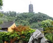 蒙城城市风景