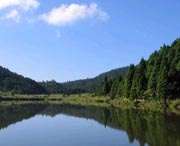 凤阳城市风景