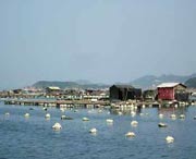 连江城市风景