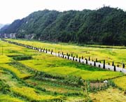 寿宁城市风景