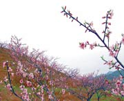 建宁城市风景