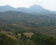 大田城市风景