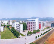 渝水城市风景