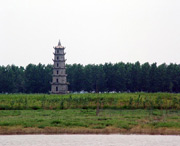 沅江城市风景