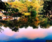 花溪城市风景