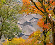 三穗城市风景