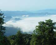 屏山城市风景