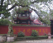 乐至城市风景