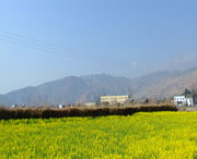 越西城市风景