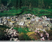 九龙城市风景