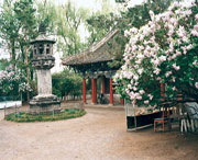黑水城市风景