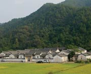 大埔城市风景