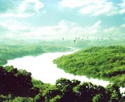 廉江城市风景