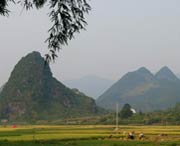 和平城市风景
