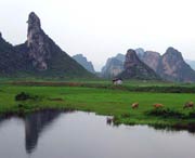 清新城市风景
