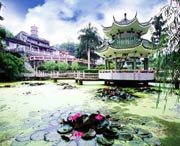 新兴城市风景