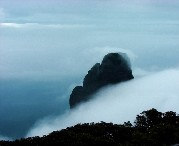 金秀城市风景