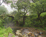 钟山城市风景